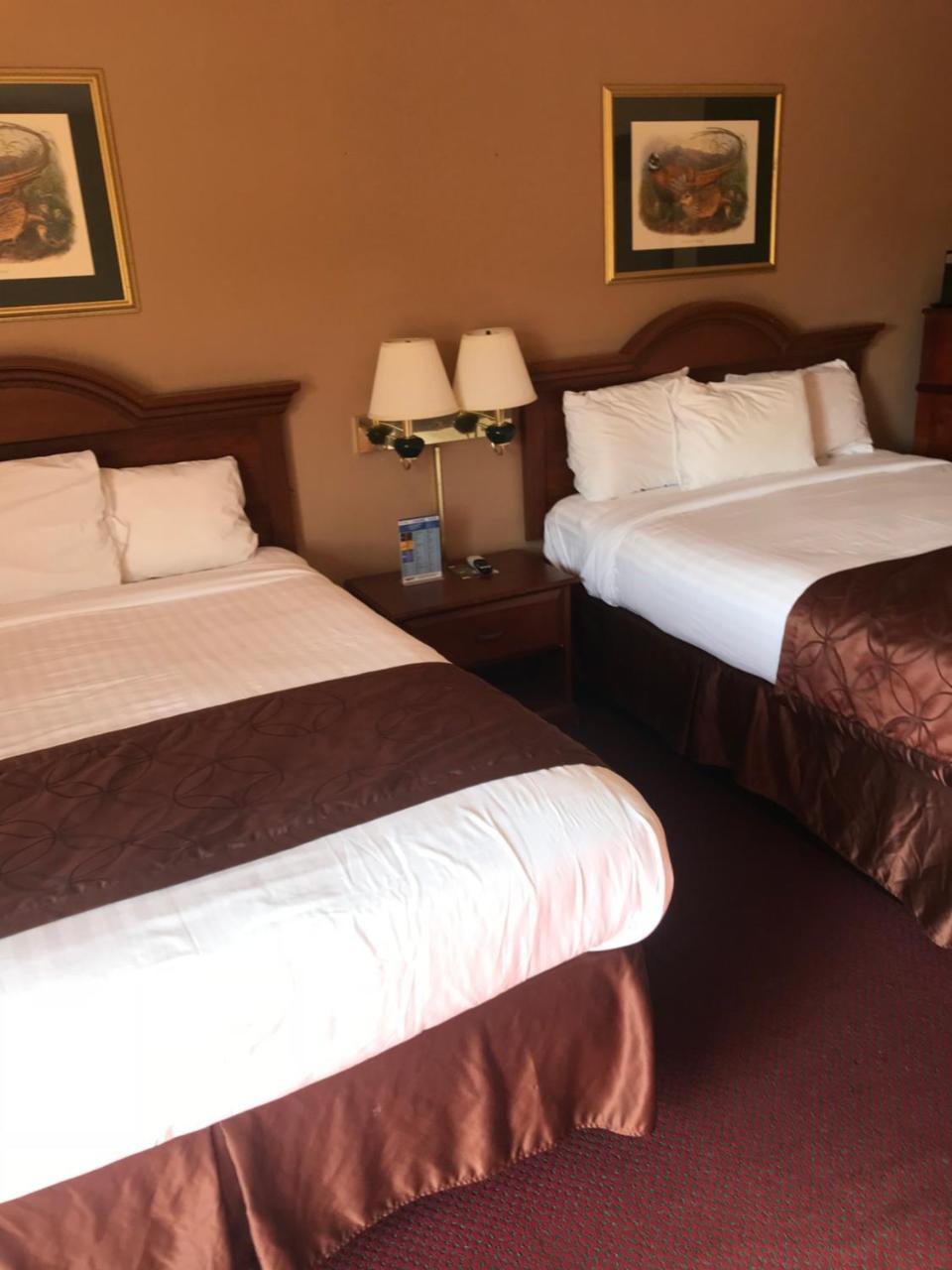 Shamrock Motel Hot Springs Ngoại thất bức ảnh