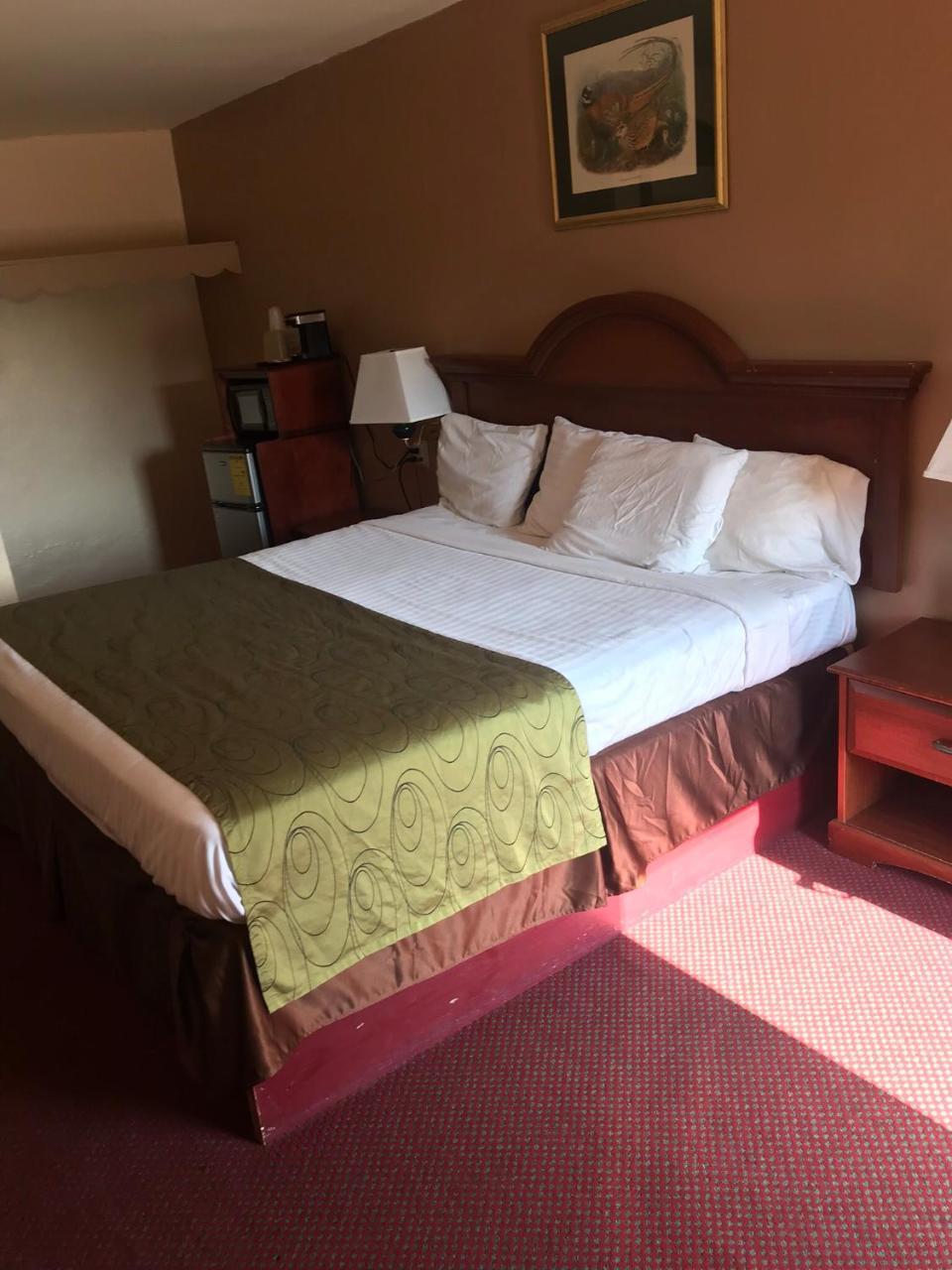 Shamrock Motel Hot Springs Ngoại thất bức ảnh